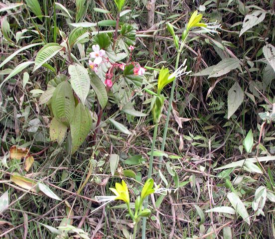 dscn8273.jpg