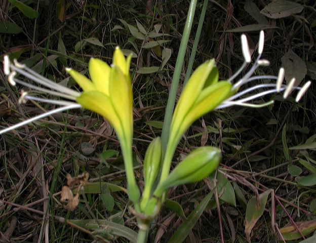 dscn8282.jpg