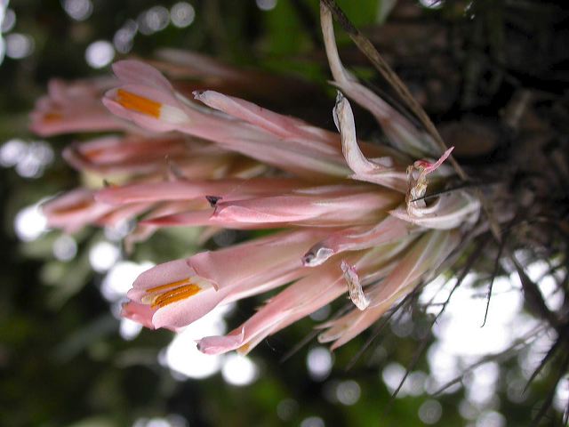 dscn2601.jpg