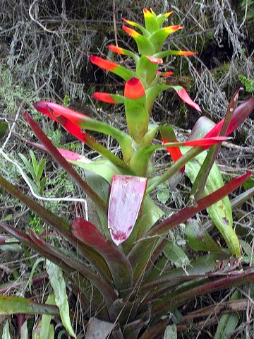 dscn6177.jpg