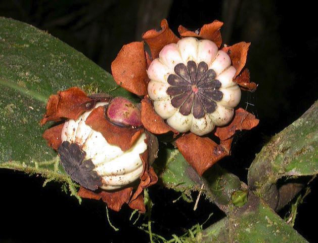 dscn8841.jpg