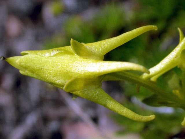 dscn2644.jpg