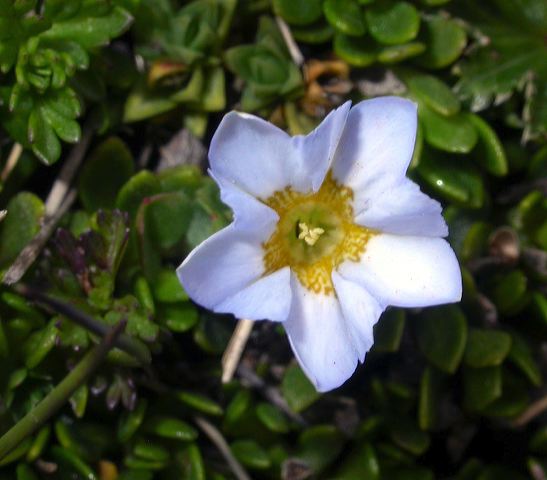 dscn6390.jpg