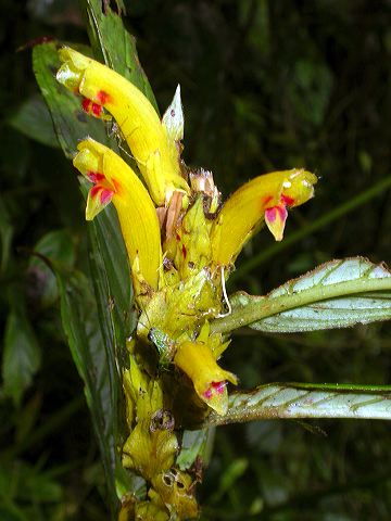 dscn1112.jpg