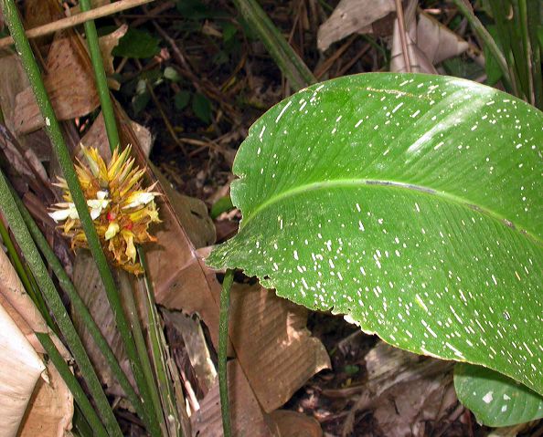 dscn6670.jpg