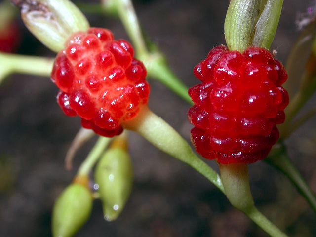 dscn8441.jpg