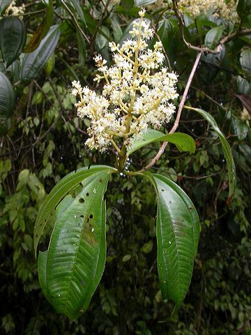dscn3919.jpg