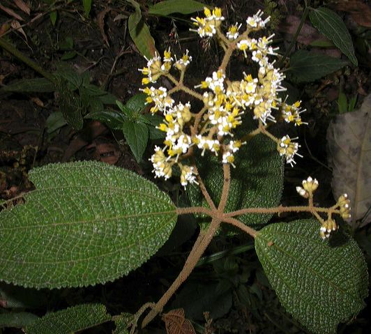 dscn8272.jpg
