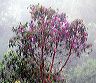 dscn8288