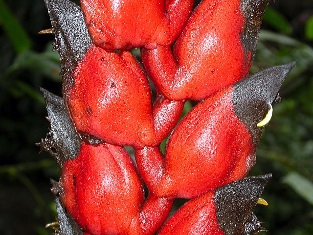 dscn0417.jpg