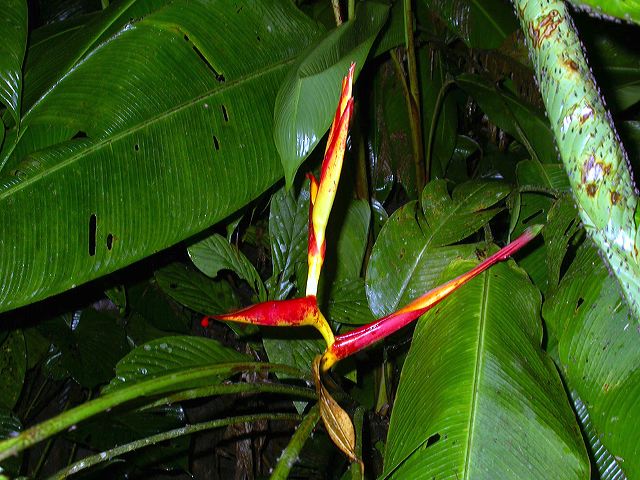 dscn5021.jpg