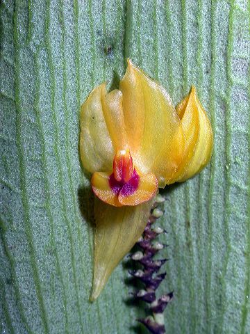 dscn1161.jpg