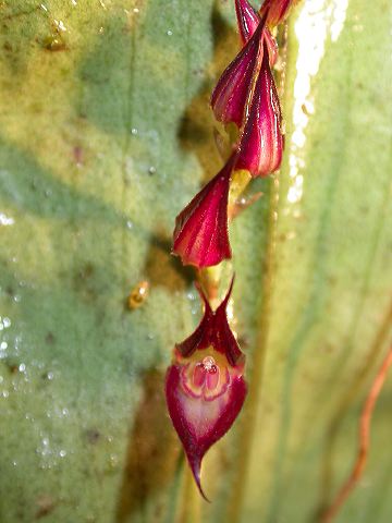 dscn1192.jpg