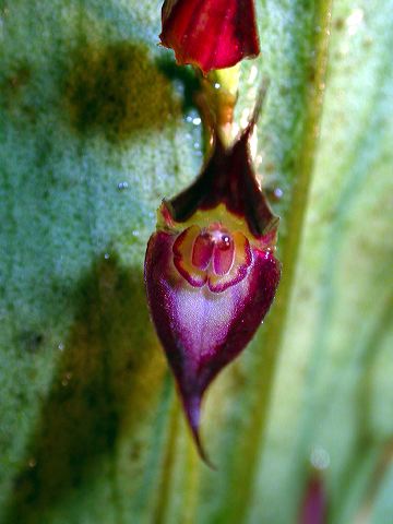dscn1198.jpg