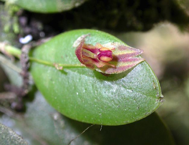dscn3834.jpg