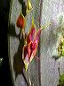 dscn1124