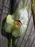 dscn1147