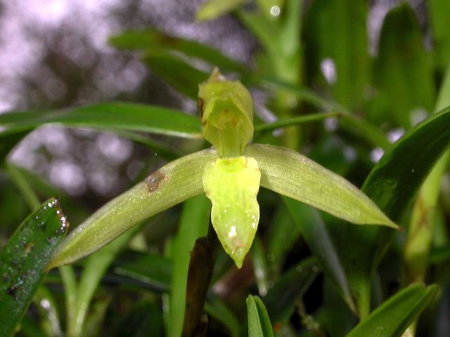 dscn6312.jpg