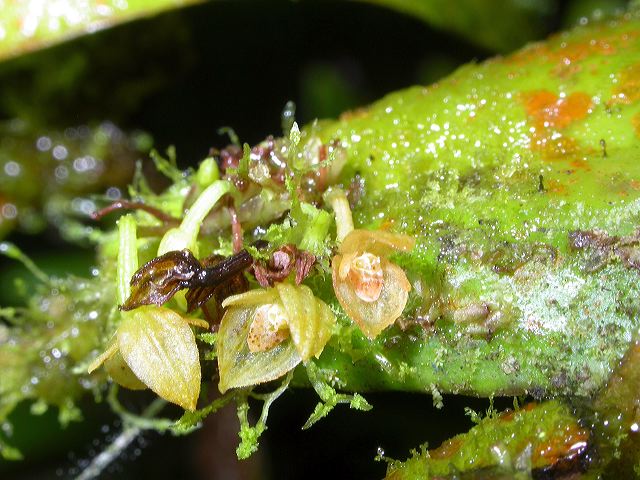 dscn6290.jpg