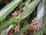 dscn0844
