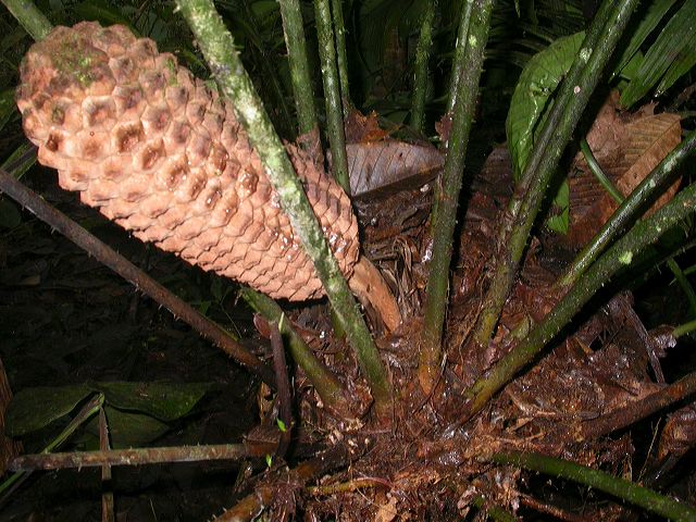 dscn5357.jpg