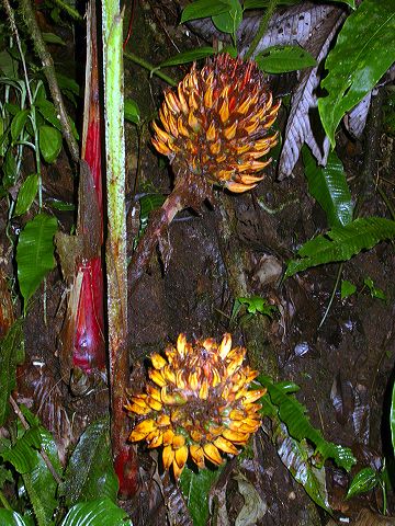 dscn1117.jpg