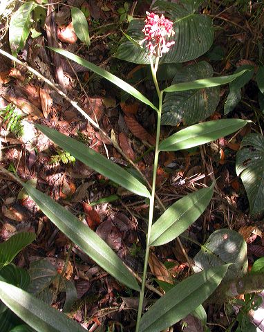 dscn1307.jpg