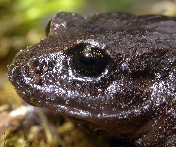 dscn7810.jpg