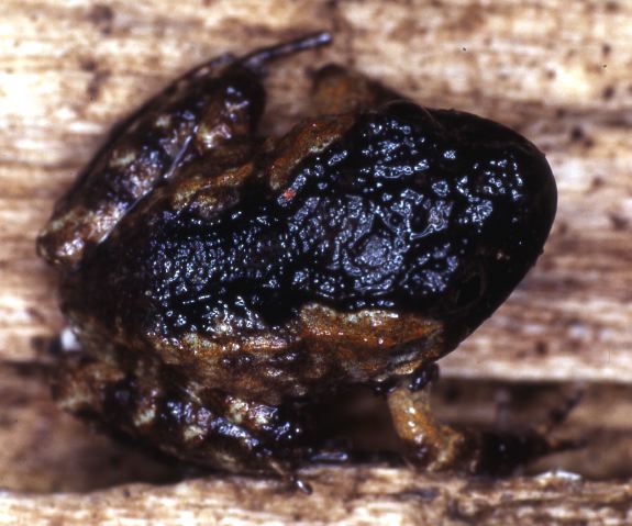 e.sul_block23_j-f.97.jpg