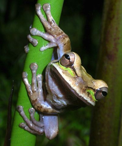 dscn4835.jpg