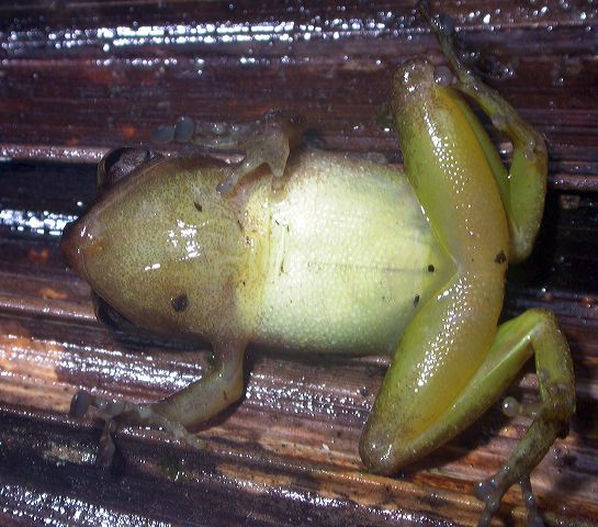 dscn5302.jpg