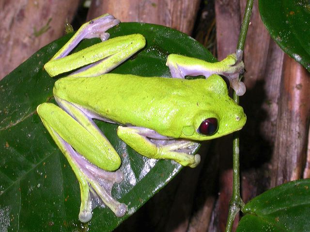 dscn5390.jpg