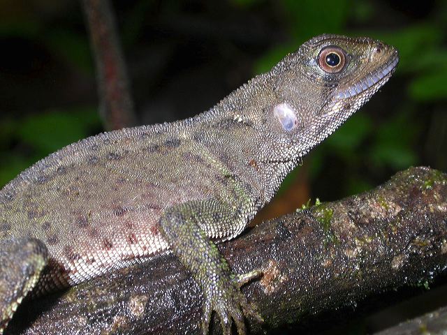 dscn5314.jpg