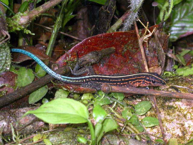 dscn5419.jpg