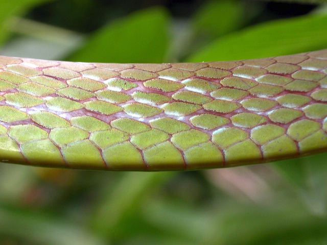 dscn5141.jpg