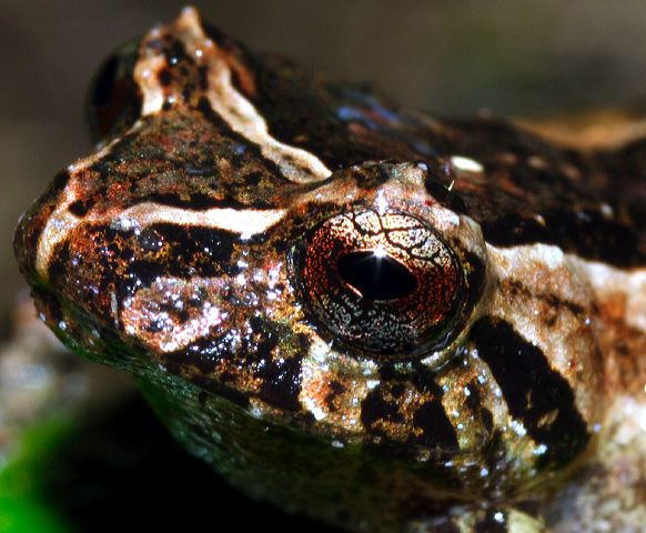 _mg_3077.jpg