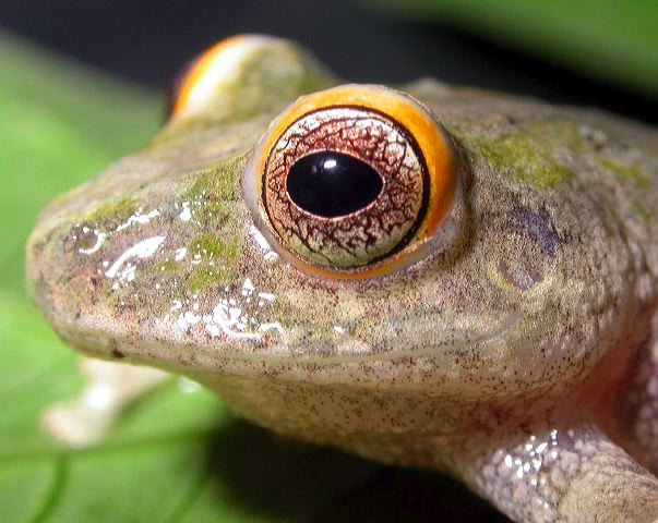 dscn8906.jpg