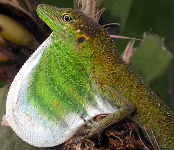 dscn8660.jpg